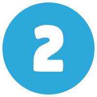 NVivo Training Option 2