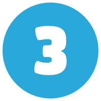 NVivo Training Option 3