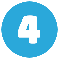 NVivo Training Option 4