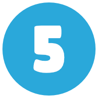 NVivo Training Option 5