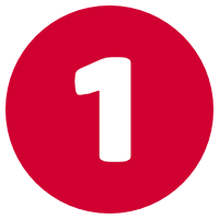 NVivo Training Option 1