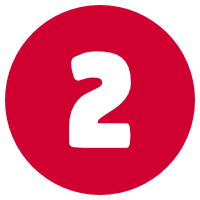 NVivo Training Option 2