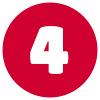 NVivo Training Option 4