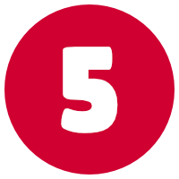 NVivo Training Option 5