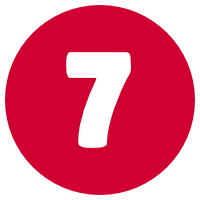 NVivo Training Option 6